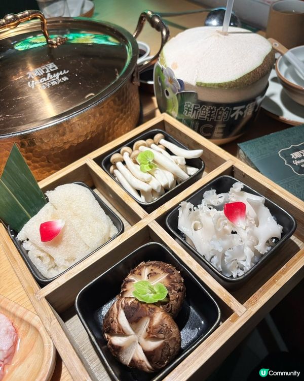 🥥 東門必食！椰語椰子雞🔥 人均100+抵食又好味！