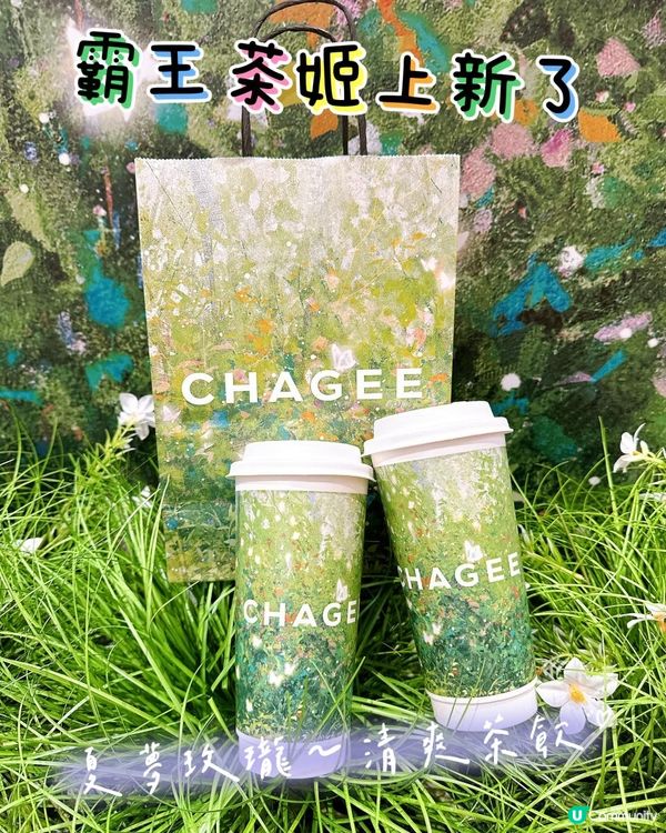 霸王茶姬新飲夏夢玫瓏🍹  打卡必備！