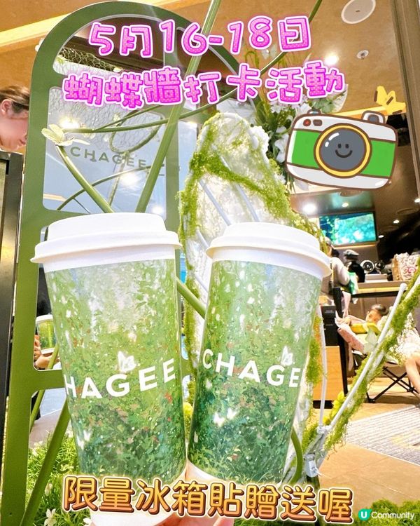 霸王茶姬新飲夏夢玫瓏🍹  打卡必備！