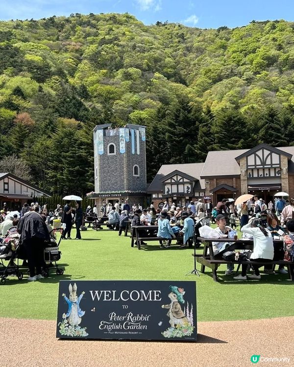 富士芝桜🌸  靚到爆💥