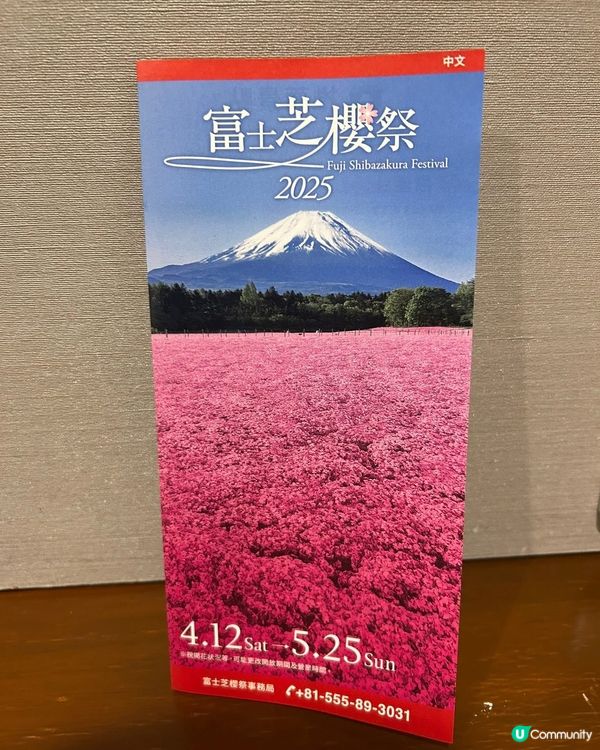 富士芝桜🌸  靚到爆💥