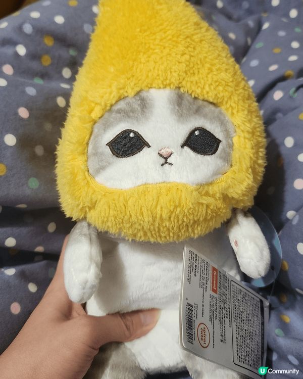 電動牙刷 - 懶人神器 ； 可愛mofusand - 姿勢糾...