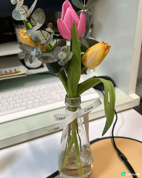 電動牙刷 - 懶人神器 ； 可愛mofusand - 姿勢糾...