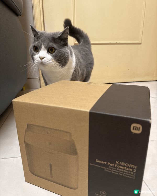 • 寵物自動飲水機: 平靚正