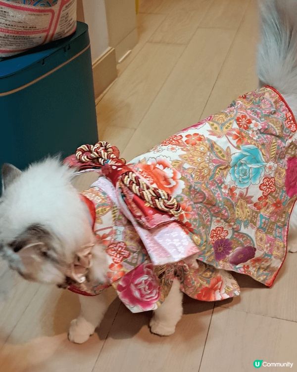 高清鏡頭，雙向音訊；部分型號設AI智能語音警報，讓我安心放心...