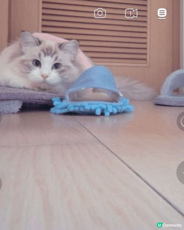 高清鏡頭，雙向音訊；部分型號設AI智能語音警報，讓我安心放心...