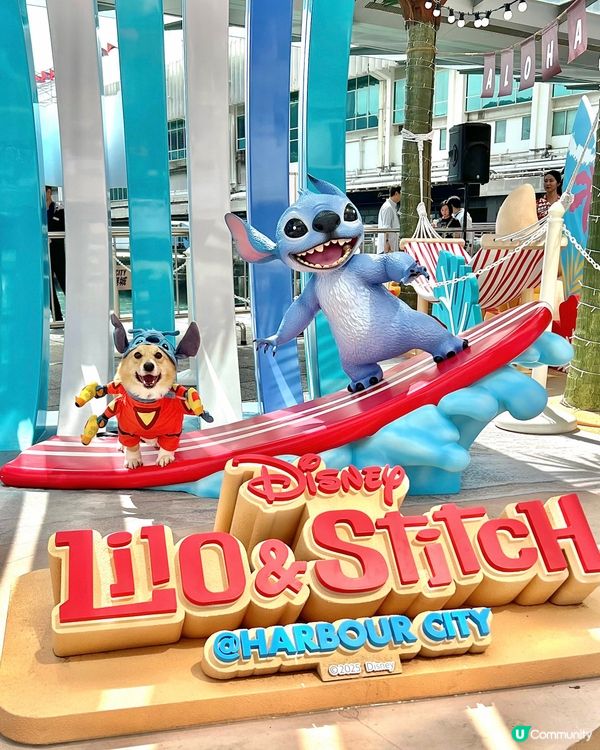 《🔫矮版史迪仔》