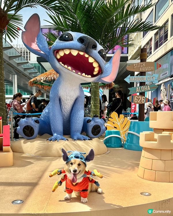 《🔫矮版史迪仔》