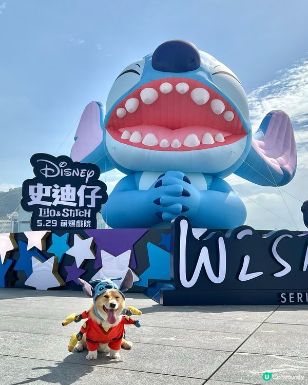 《🔫矮版史迪仔》