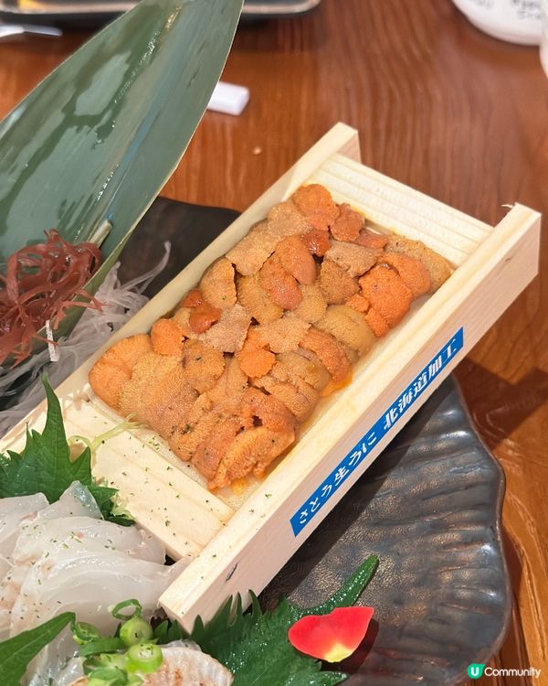 銅鑼灣必食日本餐廳🍣🥢  晚市$168/ $98任飲！