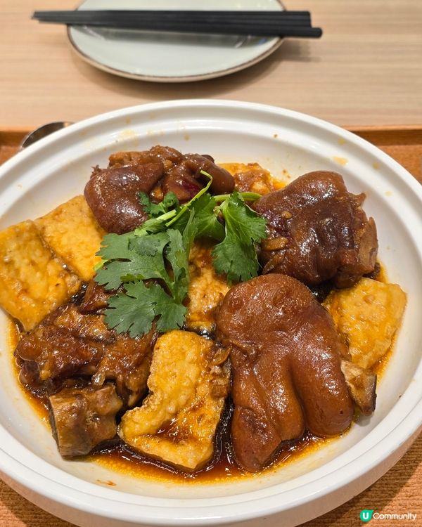 茶木新午餐登場🤩