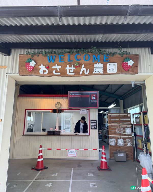 大阪京都 🍓🍓🍓 農場 50分鐘士多啤梨放題介紹！即摘即食😋