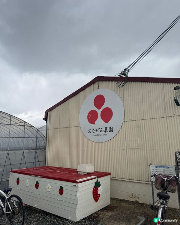 大阪京都 🍓🍓🍓 農場 50分鐘士多啤梨放題介紹！即摘即食😋