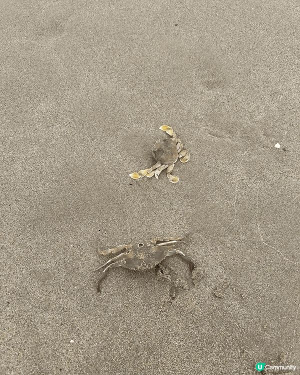 大鵬灣水清沙幼，小屋對海灘，休閒休息