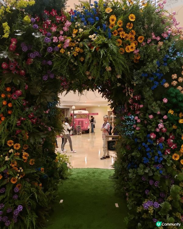 今日經過金鐘太古廣場中庭，發現了一個植物園，遠看還以為是一個...