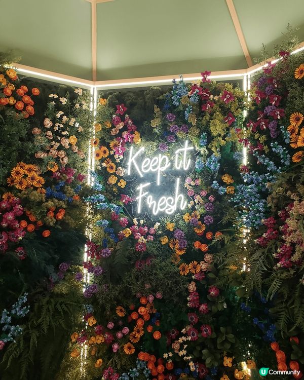 今日經過金鐘太古廣場中庭，發現了一個植物園，遠看還以為是一個...