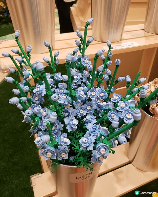 今日經過金鐘太古廣場中庭，發現了一個植物園，遠看還以為是一個...