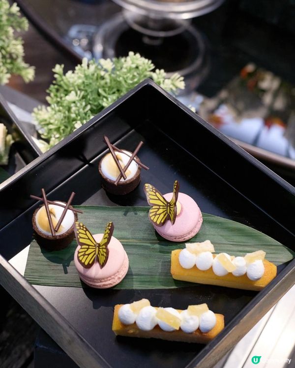 Afternoon Tea下午茶🫖SAVVY x THEORY「春漾時尚下午茶」