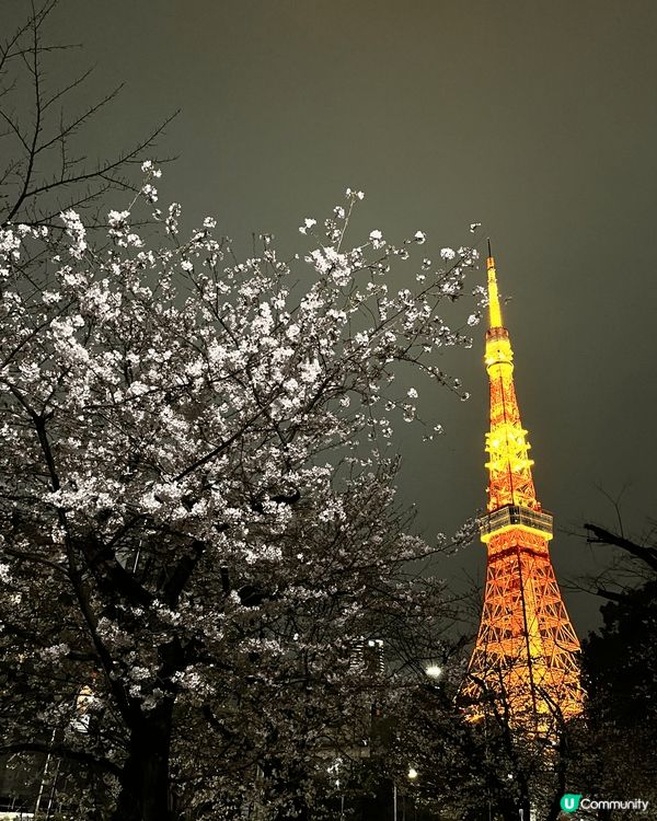 東京是一個充滿活力的都市，街頭永遠充滿人潮！東京鐵塔🗼是東京...