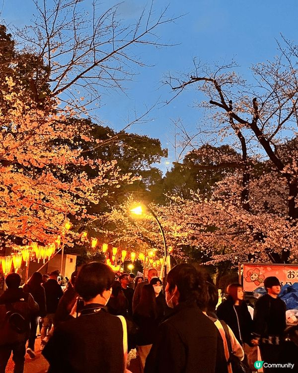 東京是一個充滿活力的都市，街頭永遠充滿人潮！東京鐵塔🗼是東京...