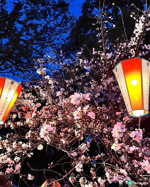 東京是一個充滿活力的都市，街頭永遠充滿人潮！東京鐵塔🗼是東京...