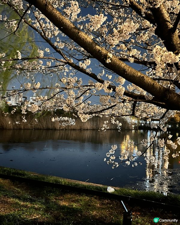 東京是一個充滿活力的都市，街頭永遠充滿人潮！東京鐵塔🗼是東京...