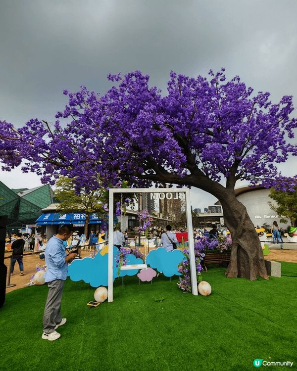 冒著內地五一長假期去遠少少地方-龍崗大運天地。可能比較遠，如...