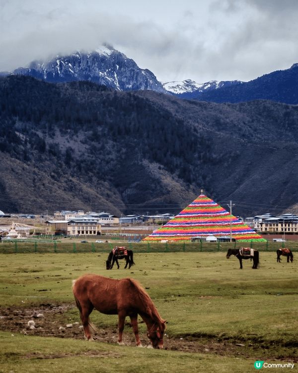雲南香格裡拉依拉草原, 係位於的迪慶藏族自治州, 係的迪興最...