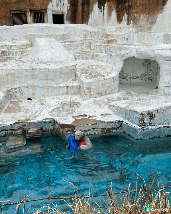 🌟 **天王寺動物園介紹** 🌟

