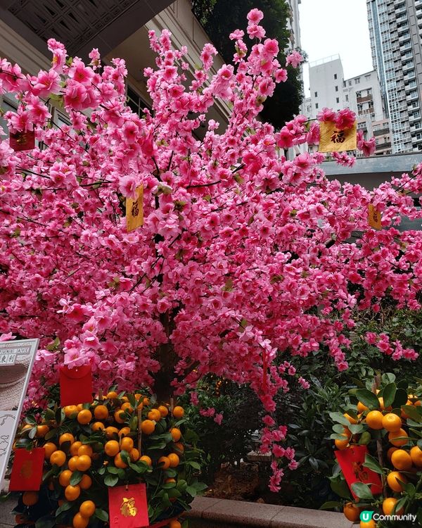 母親節就快到，街上已推出很多母親節餐單，打卡點推介利東街公園...