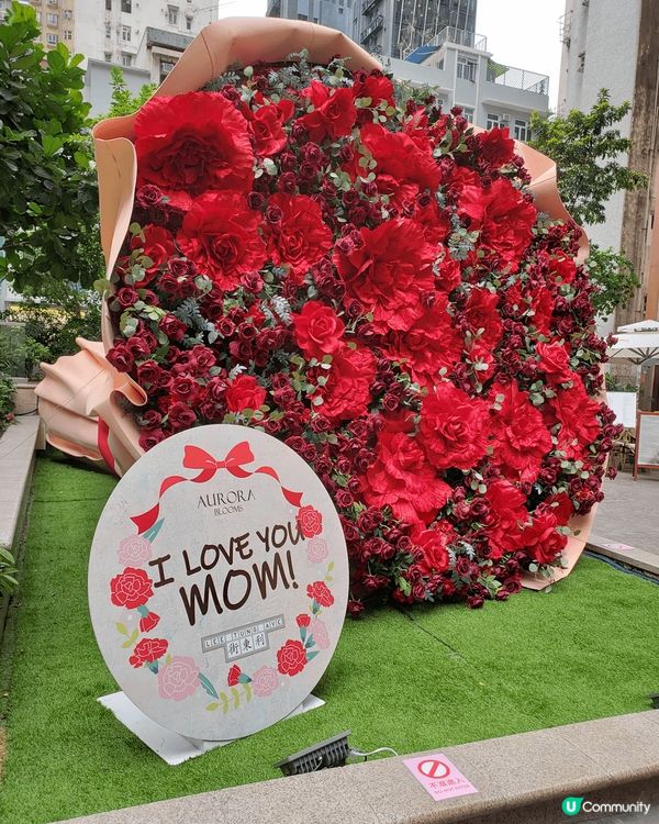 母親節就快到，街上已推出很多母親節餐單，打卡點推介利東街公園...