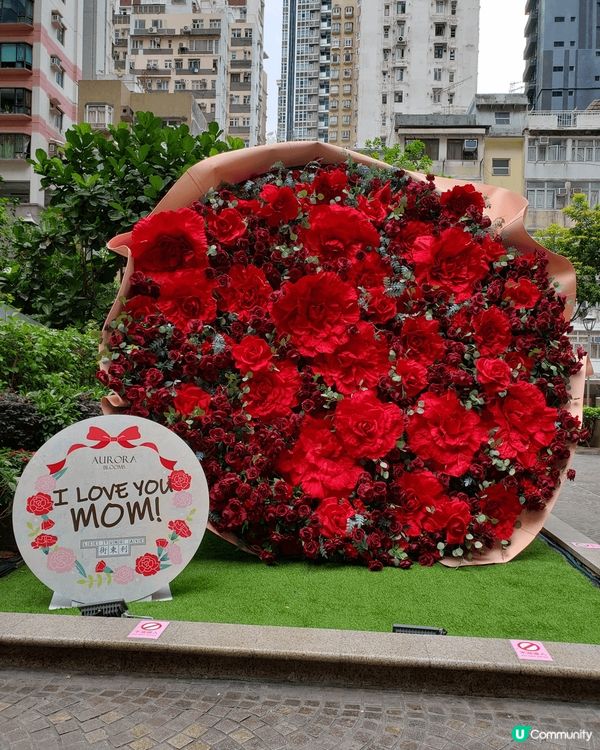 母親節就快到，街上已推出很多母親節餐單，打卡點推介利東街公園...