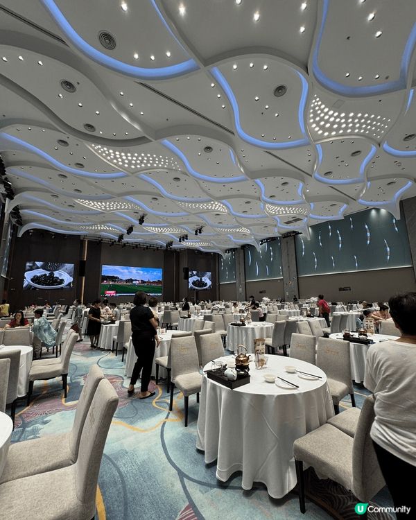 香港人而家趁假日北上消費成為大勢！主要因為服務好，使費又平，...