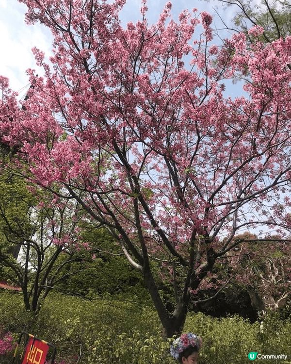 回鄉探親，不枉我坐了大半天的車程，來到古色古香、美不勝收的勝...