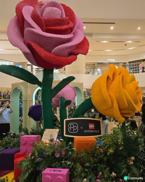 用咗12萬塊lego砌成嘅花園，可以同真花媲美，而且又唔怕枯...