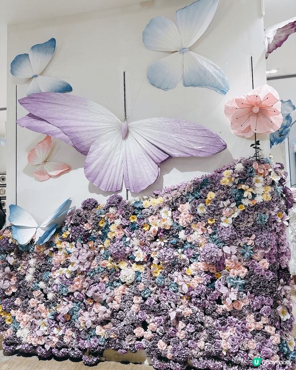 深圳龍華綠野蝶蹤，五大洲蝴蝶盛宴！🦋✨