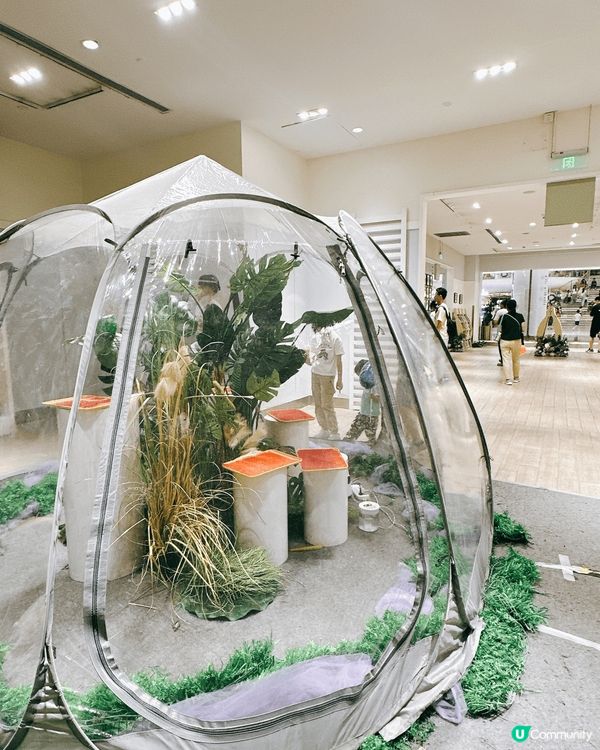 深圳龍華綠野蝶蹤，五大洲蝴蝶盛宴！🦋✨