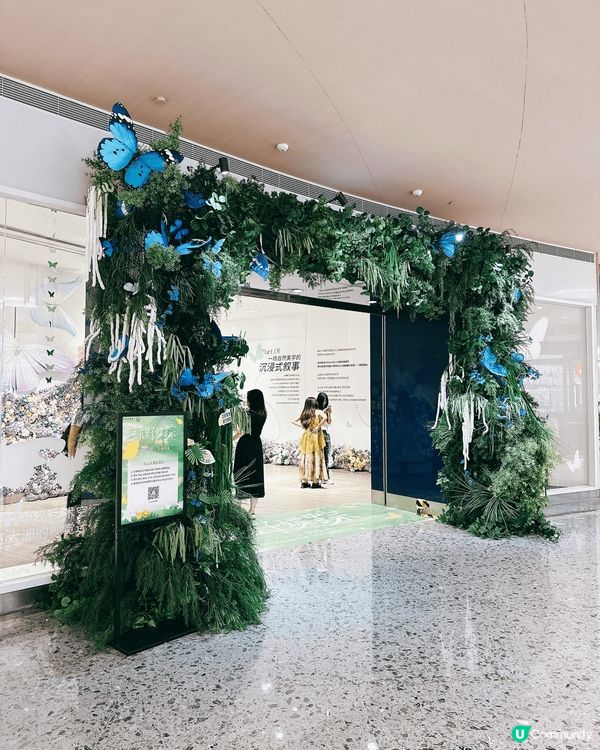 深圳龍華綠野蝶蹤，五大洲蝴蝶盛宴！🦋✨