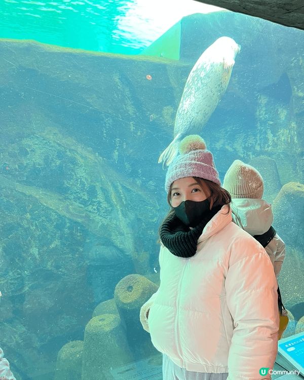 🧊❄️冰雪世界：北海道滑雪之旅