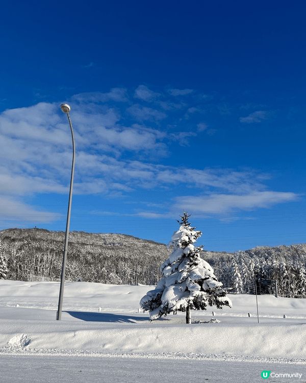 🧊❄️冰雪世界：北海道滑雪之旅