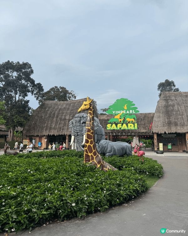 今次係富國島曬太陽之旅😎日日陽光與海灘，去埋動物園同埋睇運河...