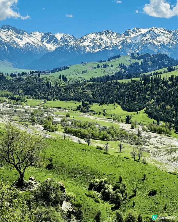 🏔藏在高原的綠野仙蹤，99%的人不知曉！新疆恰西草原海拔15...