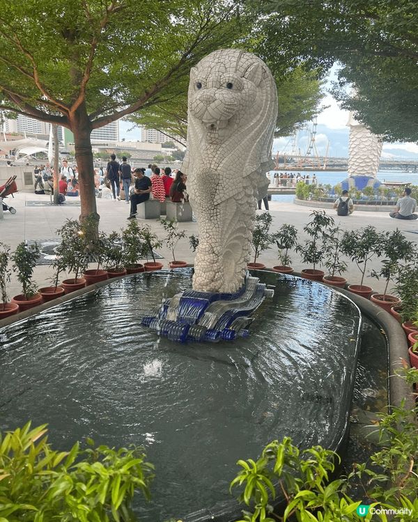 之前去左新加坡旅行，梗係要同魚尾獅影相，魚尾獅就係新加坡最著...