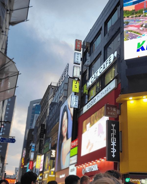 韓國之旅，明洞,首爾塔，北村韓屋村。首爾塔內有很多愛情鎖，琴...