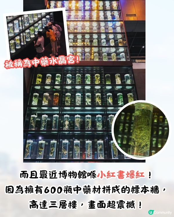 廣州4大免費博物館📜廣東省最大博物館/中藥水晶宮/考古體驗🚗附票價資訊