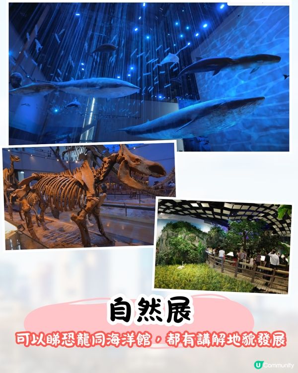 廣州4大免費博物館📜廣東省最大博物館/中藥水晶宮/考古體驗🚗附票價資訊