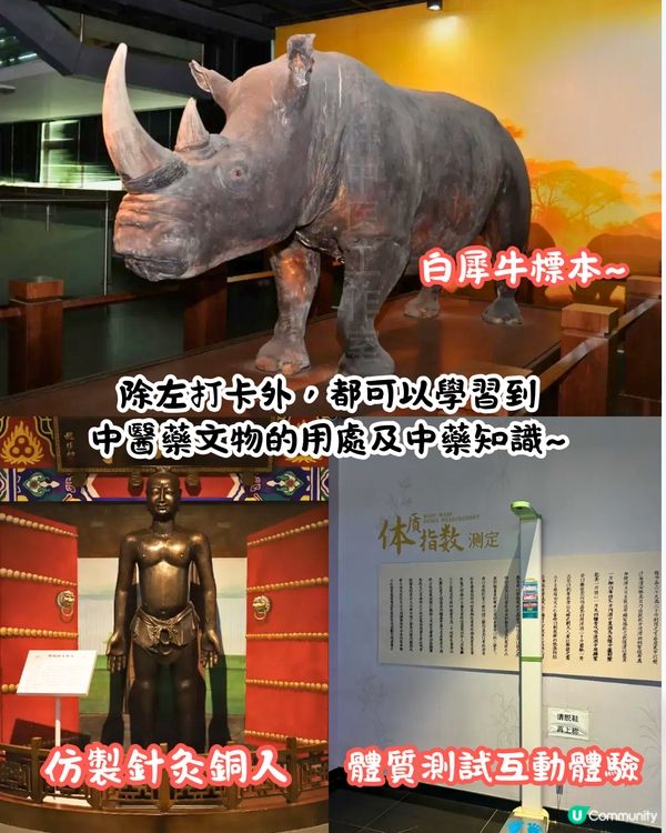 廣州4大免費博物館📜廣東省最大博物館/中藥水晶宮/考古體驗🚗附票價資訊