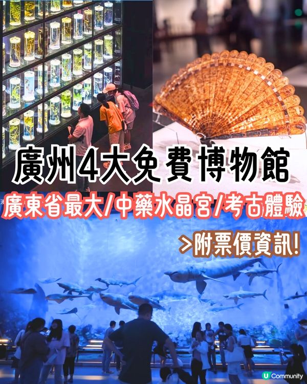 廣州4大免費博物館📜廣東省最大博物館/中藥水晶宮/考古體驗🚗附票價資訊