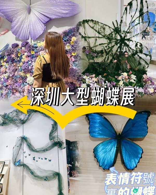 深圳龍華綠野蝶蹤，五大洲蝴蝶盛宴！🦋✨