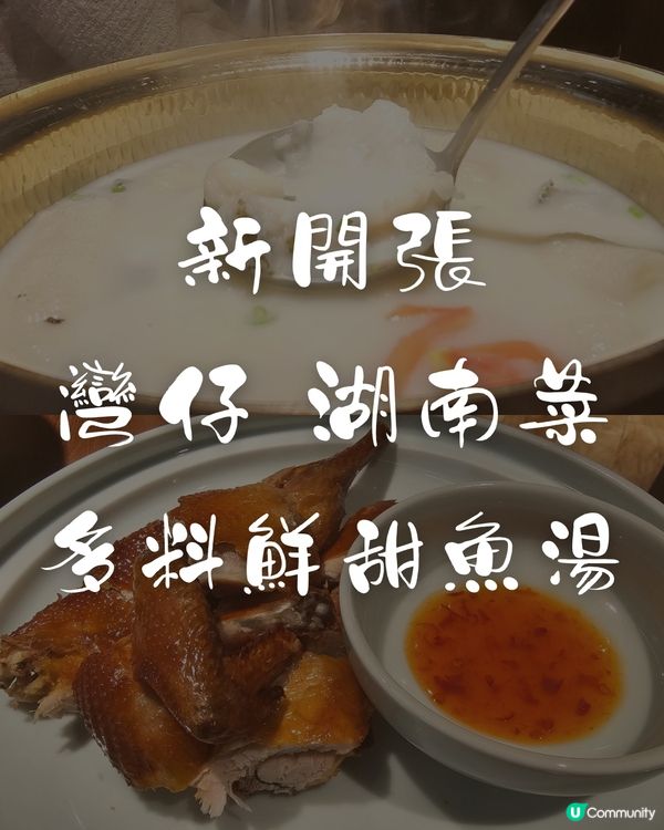 【自淘腰包探店】灣仔新開張！湖南菜 超鮮甜魚湯